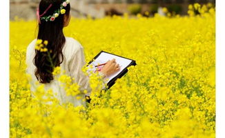 乡镇书记回应尬舞宣传油菜花